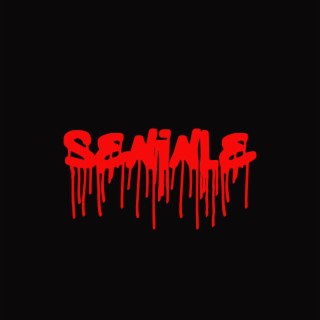 Seninle lyrics | Boomplay Music