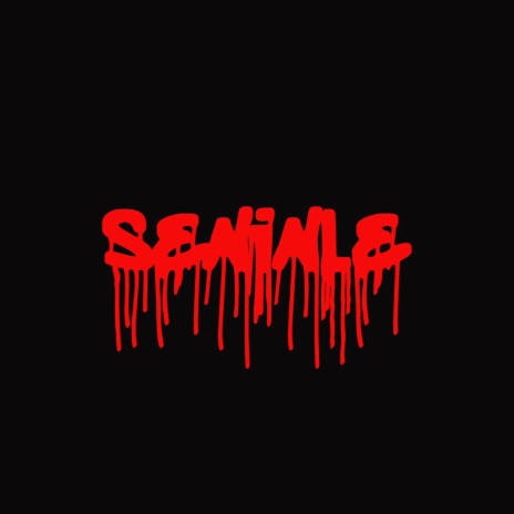 Seninle | Boomplay Music