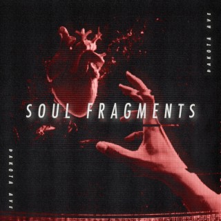 Soul Fragments