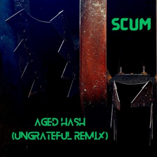 Aged Hash (Ungrateful Remix) lyrics | Boomplay Music