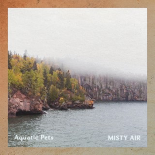 Misty Air lyrics | Boomplay Music