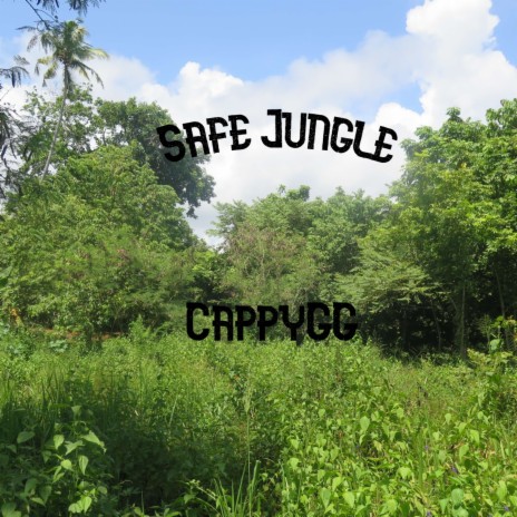 Safe Jungle | Boomplay Music