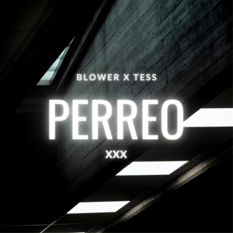 Perreo XXX ft. Dj Tess | Boomplay Music