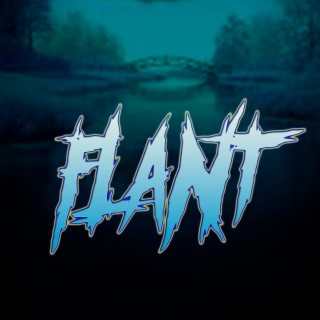 Flant