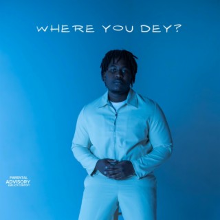 WHERE YOU DEY? lyrics | Boomplay Music