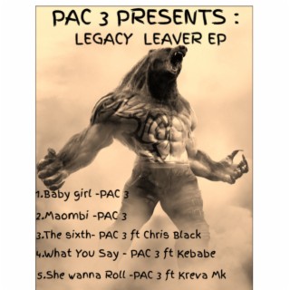 PAC 3