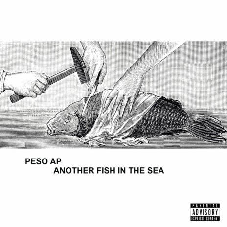 Another Fish In The Sea | Boomplay Music