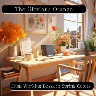 Crisp Working Bossa in Spring Colors