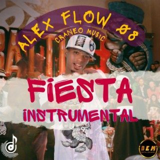 FIESTA Instrumental