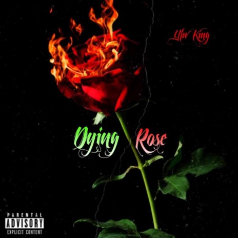 Dying Rose | Boomplay Music