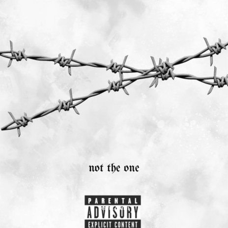not the one | Boomplay Music
