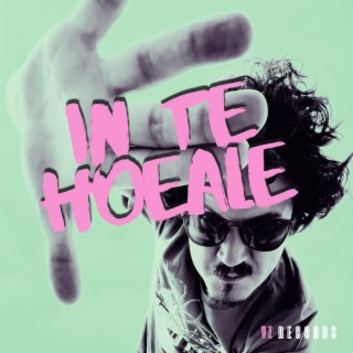 In Te Hoeale ft. Stuiftijger lyrics | Boomplay Music
