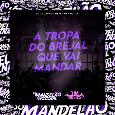 A Tropa do Brejal Que Vai Mandar ft. DJ GABRIEL NEVES | Boomplay Music