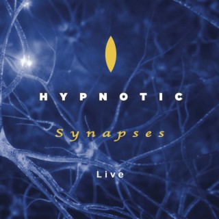 Synapses