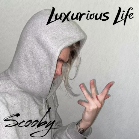 Luxurious Life | Boomplay Music