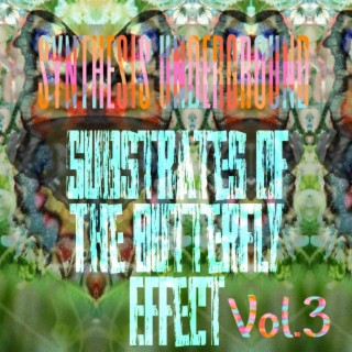 Substrates of the Butterfly Effect, Vol. 3