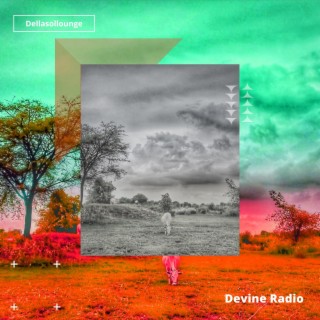 Devine Radio