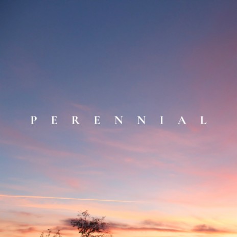 Perennial | Boomplay Music