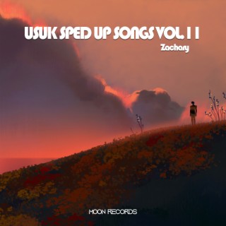 USUK SPED UP SONGS VOL.11