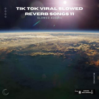 Tik Tok Viral Slowed Reverb Songs 11