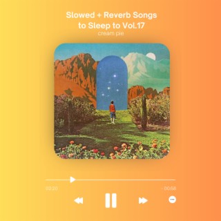 Slowed + Reverb Songs to Sleep to Vol.17