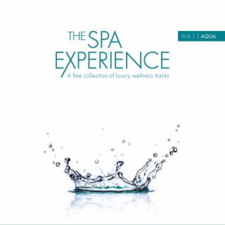 THE SPA EXPERIENCE VOL 1 AQUA