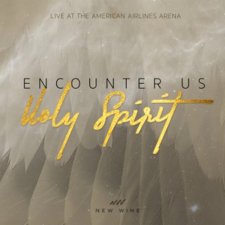 Encounter Us Holy Spirit