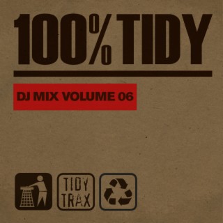 100% Tidy, Vol. 6
