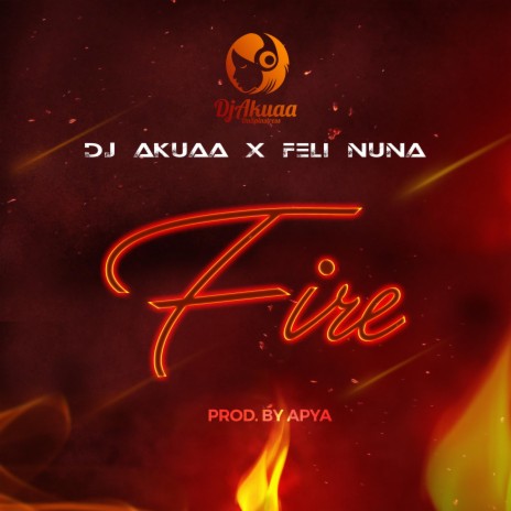Fire (feat. Feli Nuna)