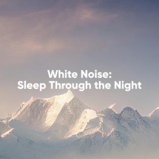 White Noise: Sleep Through the Night