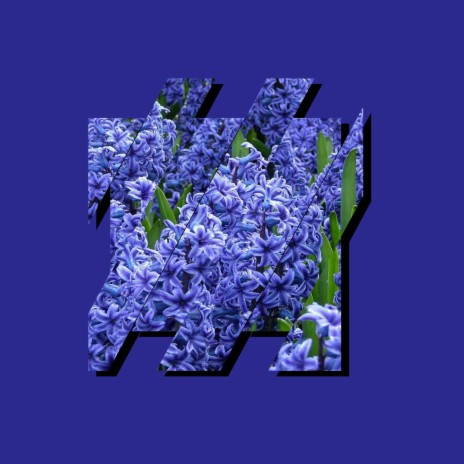 Hyacinths | Boomplay Music