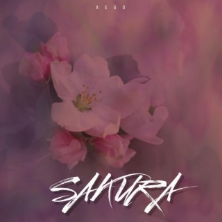 Sakura lyrics | Boomplay Music