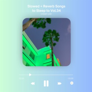 Slowed + Reverb Songs to Sleep to Vol.34