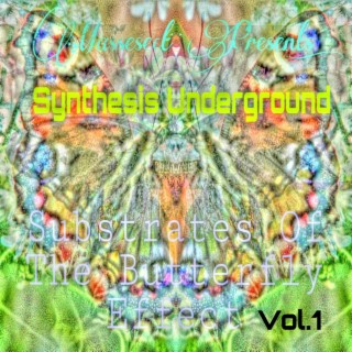 Substrates of the Butterfly Effect, Vol. 1