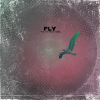 FLY