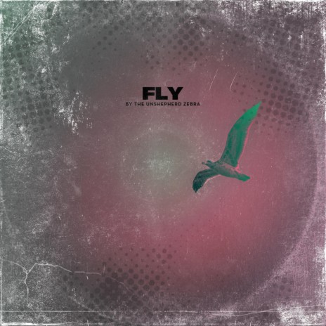 FLY | Boomplay Music