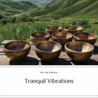 Tranquil Vibrations: a Journey to Serenity