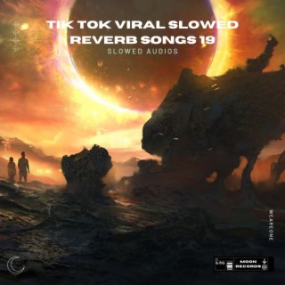 Tik Tok Viral Slowed Reverb Songs 19