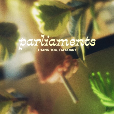 Parliaments | Boomplay Music