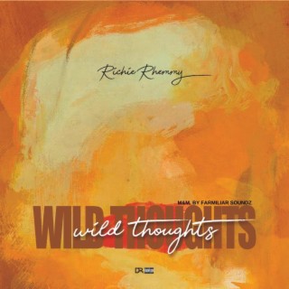 Wild Thoughts lyrics | Boomplay Music