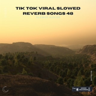 Tik Tok Viral Slowed Reverb Songs 48
