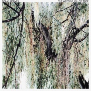The Weeping Willow Tree