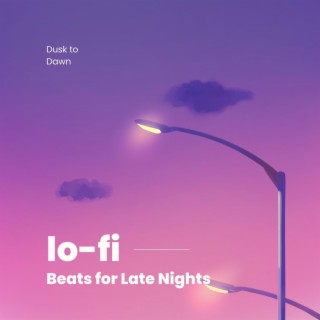 Dusk to Dawn: Lo-Fi Beats for Late Nights