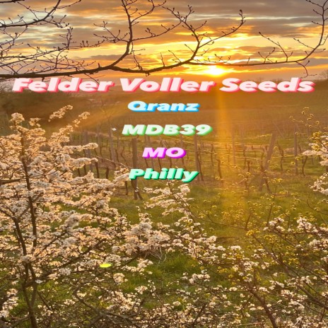 Felder Voller Seeds ft. MO, Qranz & MDB39 | Boomplay Music