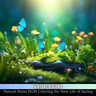 Natural Relax BGM Coloring the New Life of Spring
