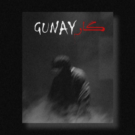 Gunaygar | Boomplay Music