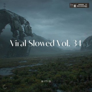 Viral Slowed Vol. 34