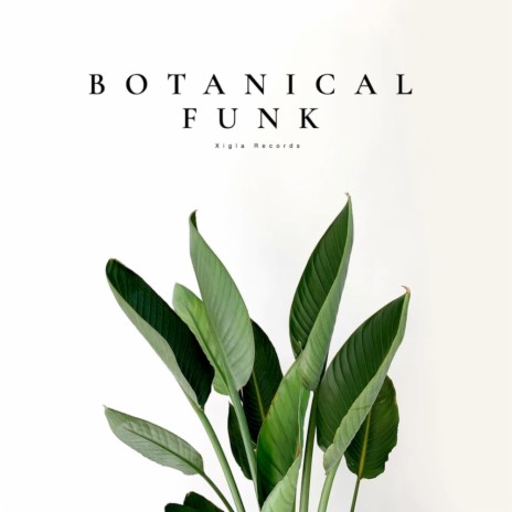 Botanical Funk | Boomplay Music