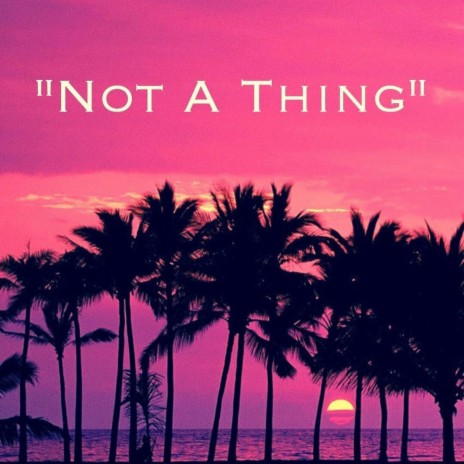 Not a Thing | Boomplay Music