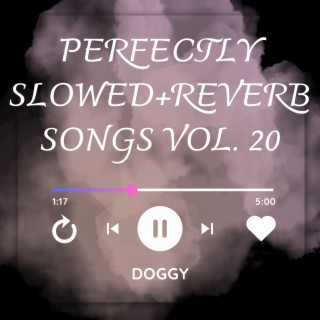 Perfectly Slowed+Reverb Songs Vol. 20